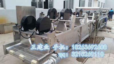 供應酸菜生產(chǎn)廠家 醬腌菜殺菌設備 小型醬菜生產(chǎn)線設備