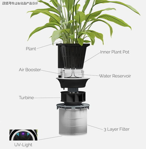 結合了美國航天局的靈感和花盆家居裝飾的凈化器產品設計